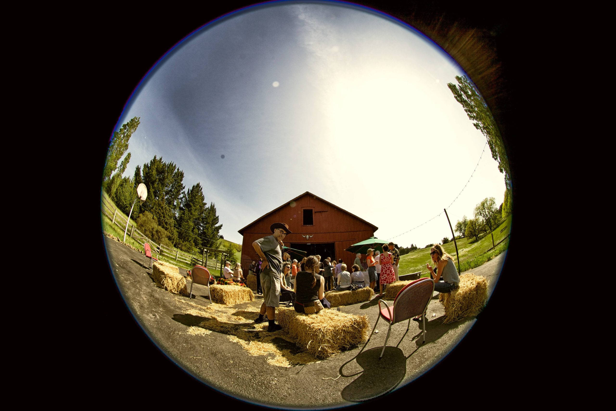 Hostage to the Golden Hour: Beni & Kathy’s Barn