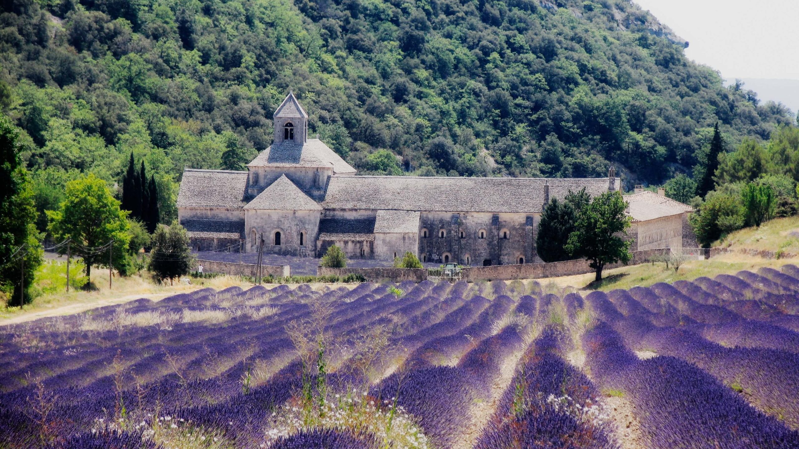 Lavender Field, France