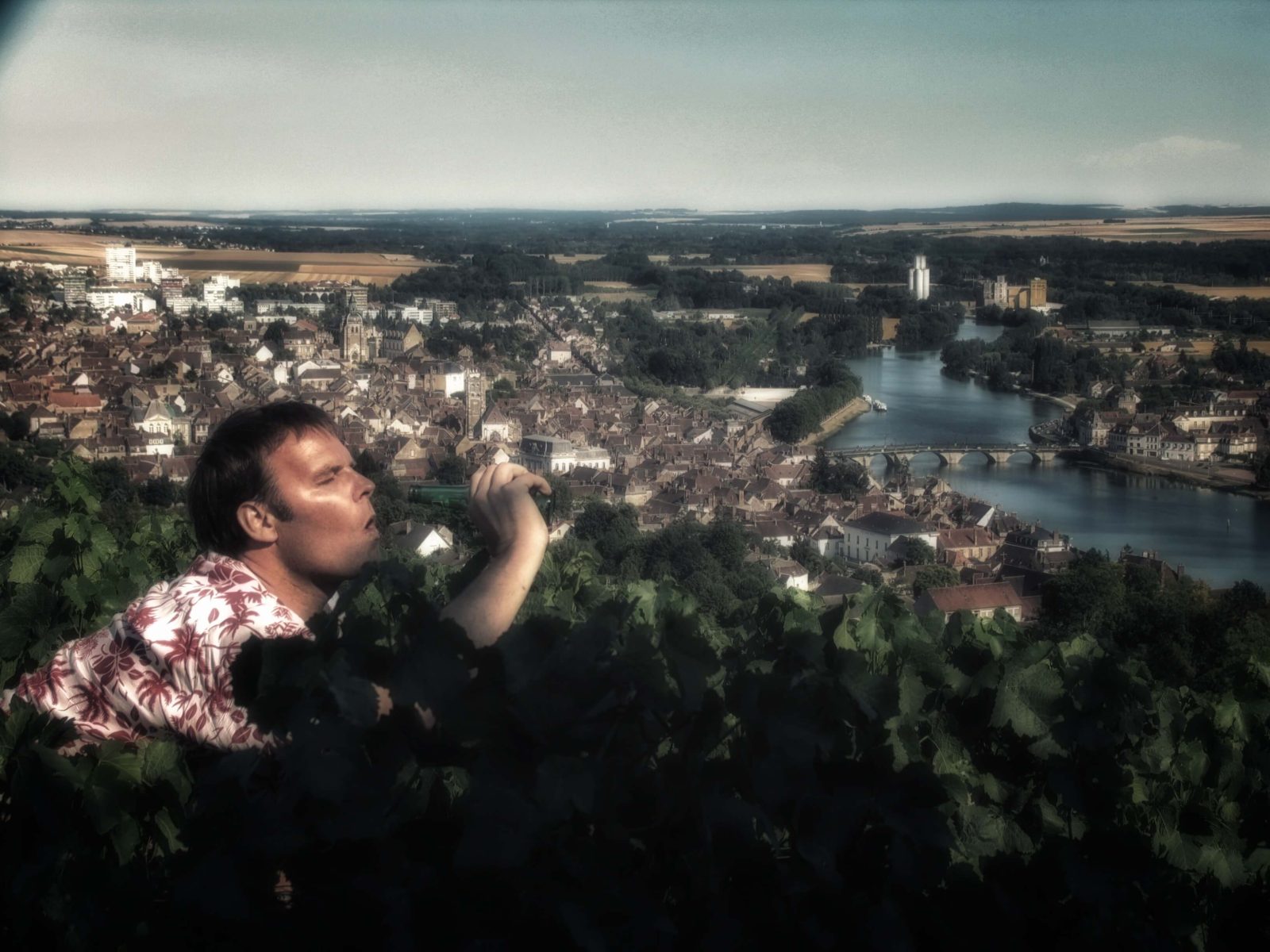 Vineyard Solipsism, Provence