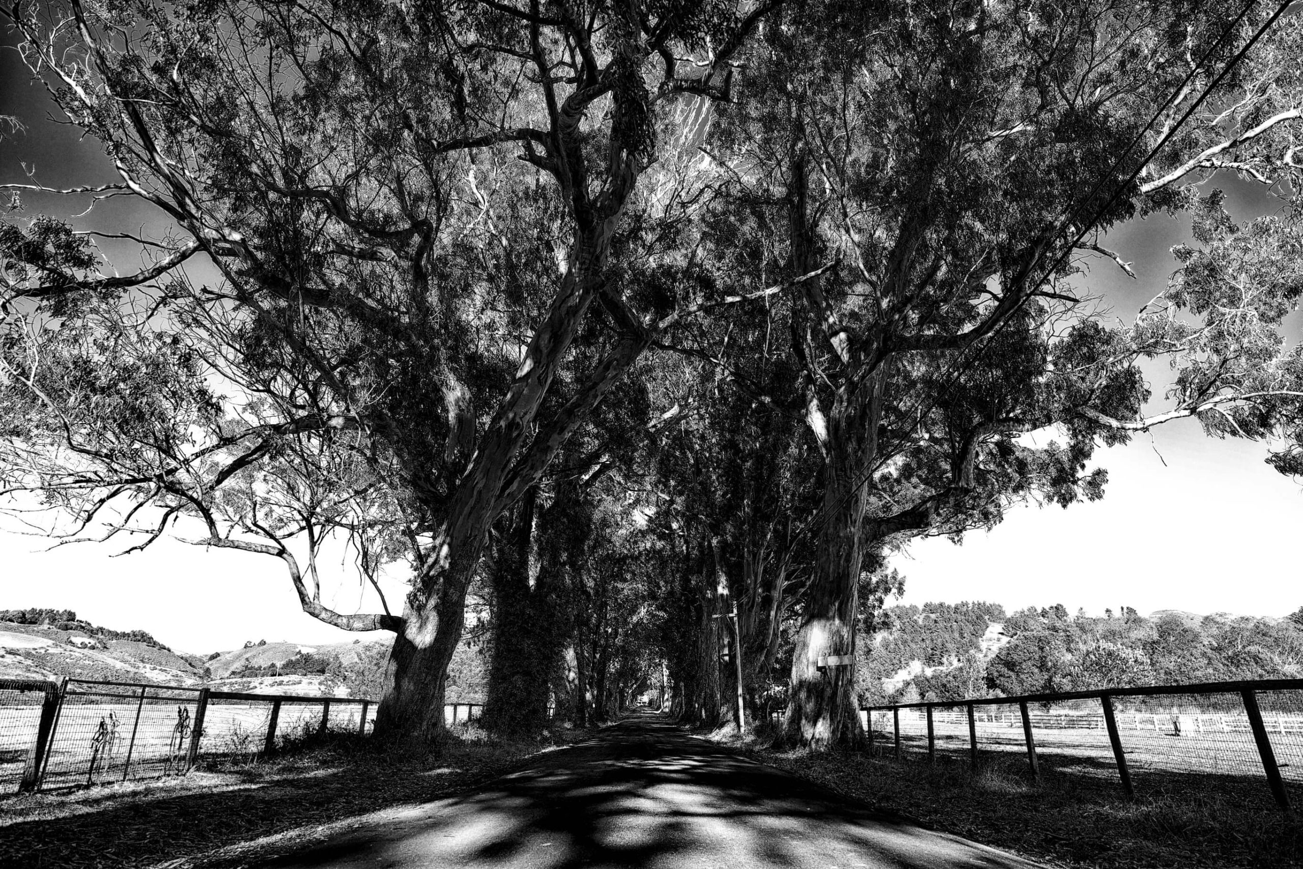 The Edge of Everything Else