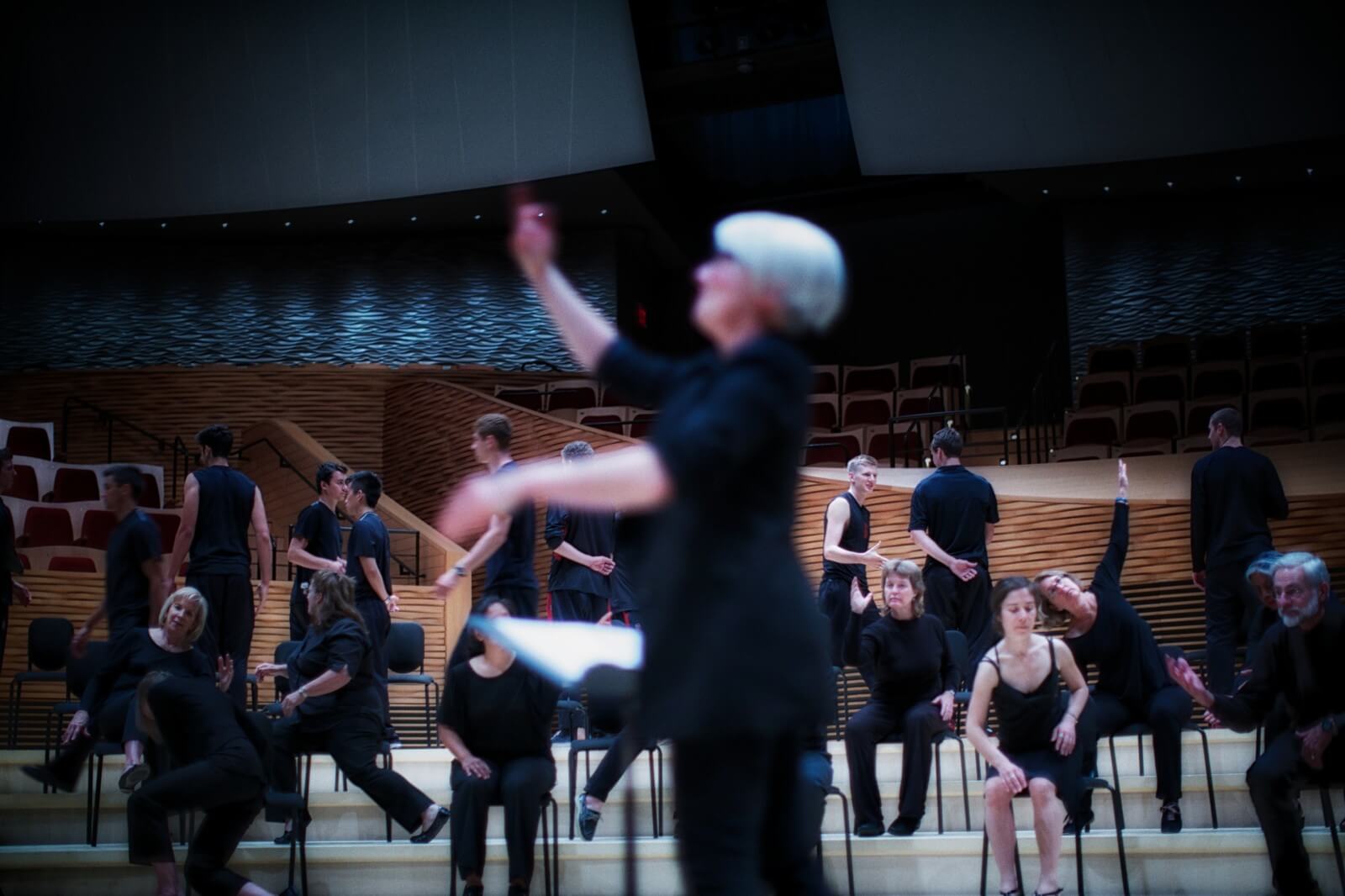 Ann Carlson, dance, performance art, stanford, bing, theater, documentation, photography, artist, community,choreography, choreographer, Stanford University, Stanford TAPS, theater and performance studies, Stanford Arts