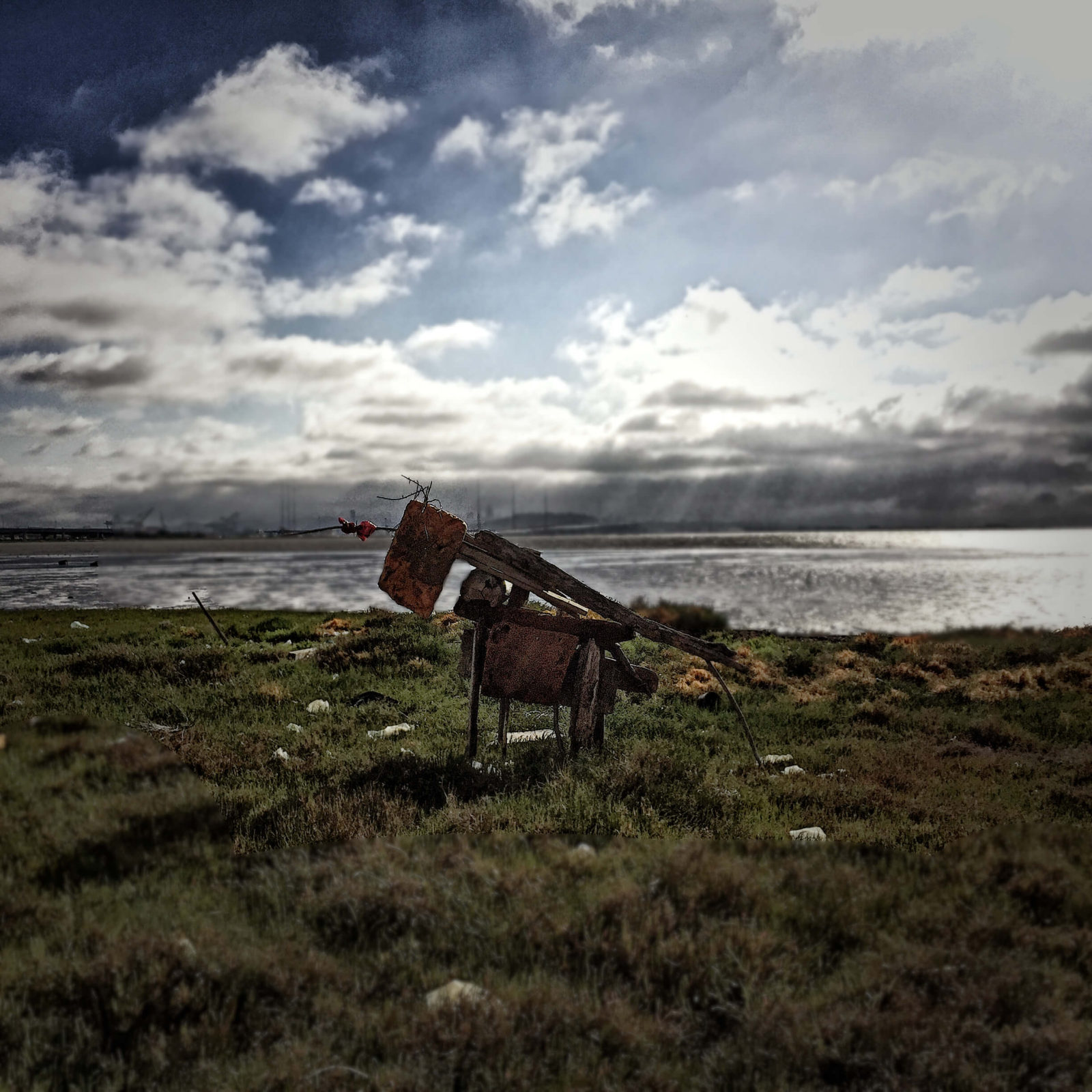 The Iota, site specific theatre, photography, documentation, theater, san francisco bay, Trojan Horse, performance art, Trojan Horse Emeryville