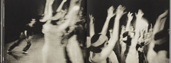 Taxidermist or The Last Ones There Get to Say What It Meant