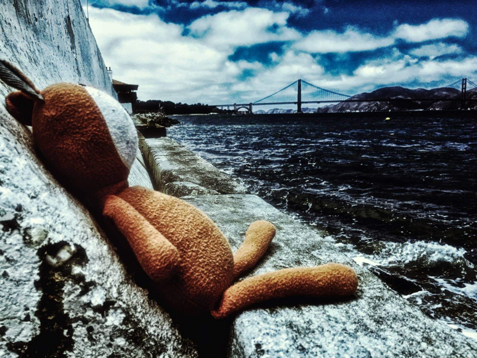 Notes on Returning a Borrowed Fox