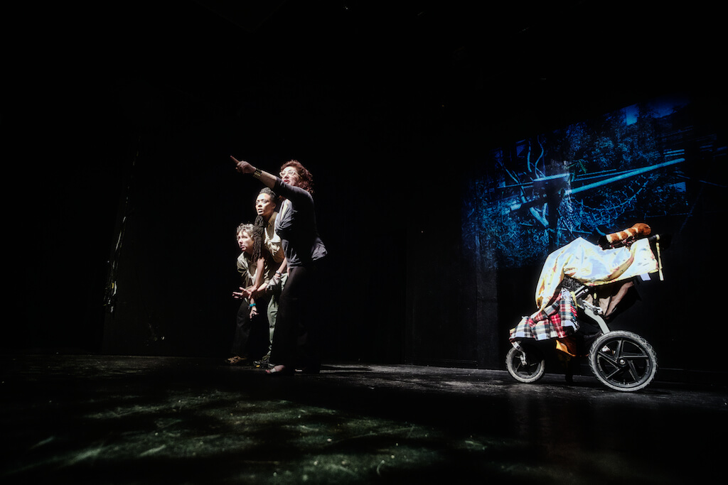 Bearing Witness to the Anteater Protocol