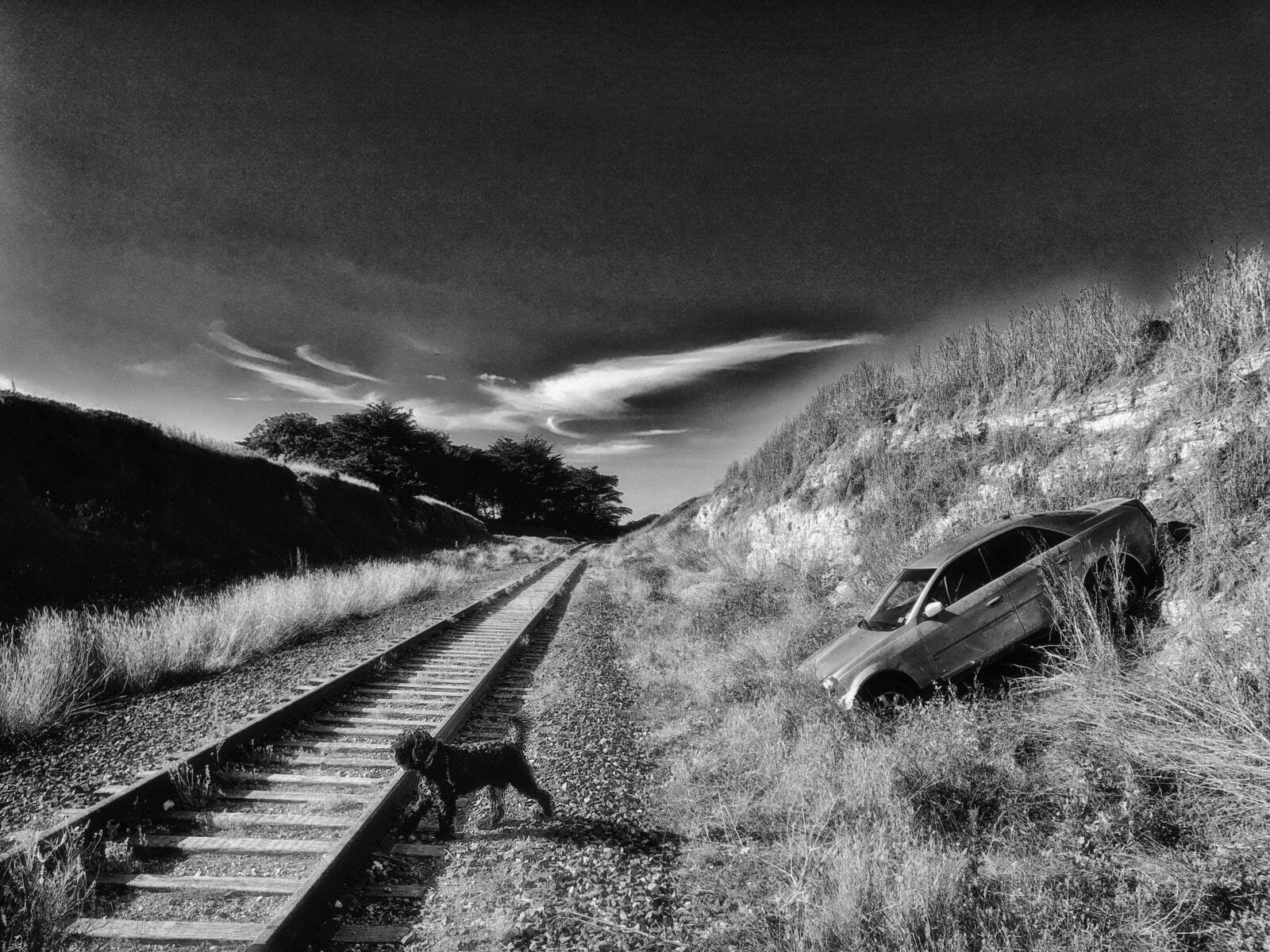 Davenport, Santa Cruz, photography, jamie lyons, train tracks, documentation