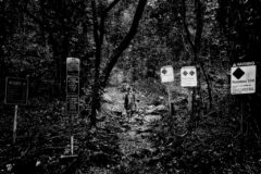 site specific, theatre, theater, bay area, performance art, live art, documentation, photography, San Francisco, John Fowles, The Magus, Stanford, literature, art, faith, adventure