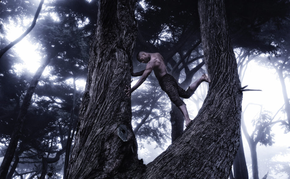 Nature is imagination itself