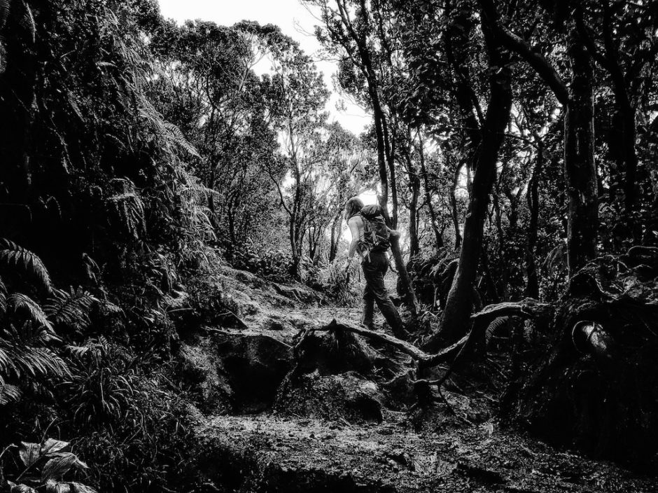 She Made Beauty All Round Her or The Getting Dirty Is the Point