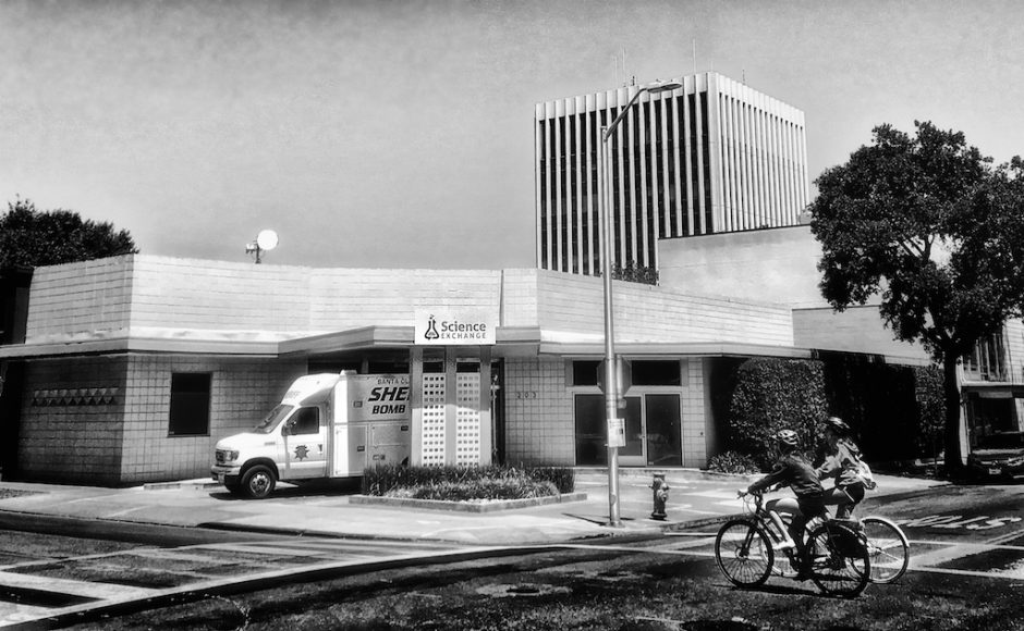 She Bomb / Science Exchange: Now I Am Become Disruption – Death of a Dry Cleaner