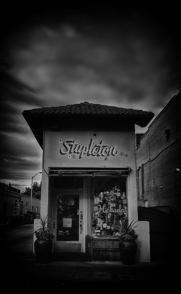 Stapleton: Palo Alto Florist
