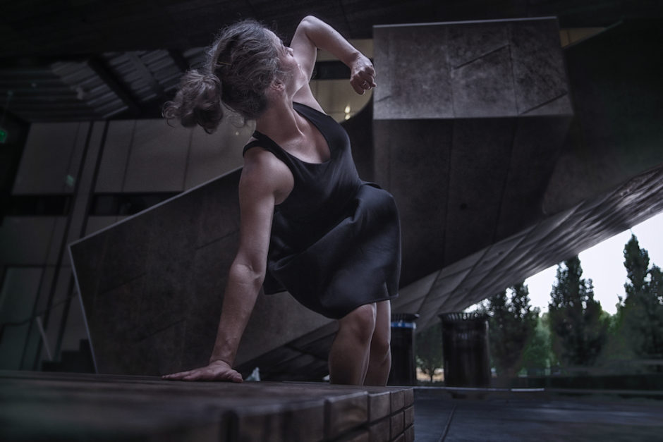 Chocolate Heads <em>Bird’s Eye View</em>