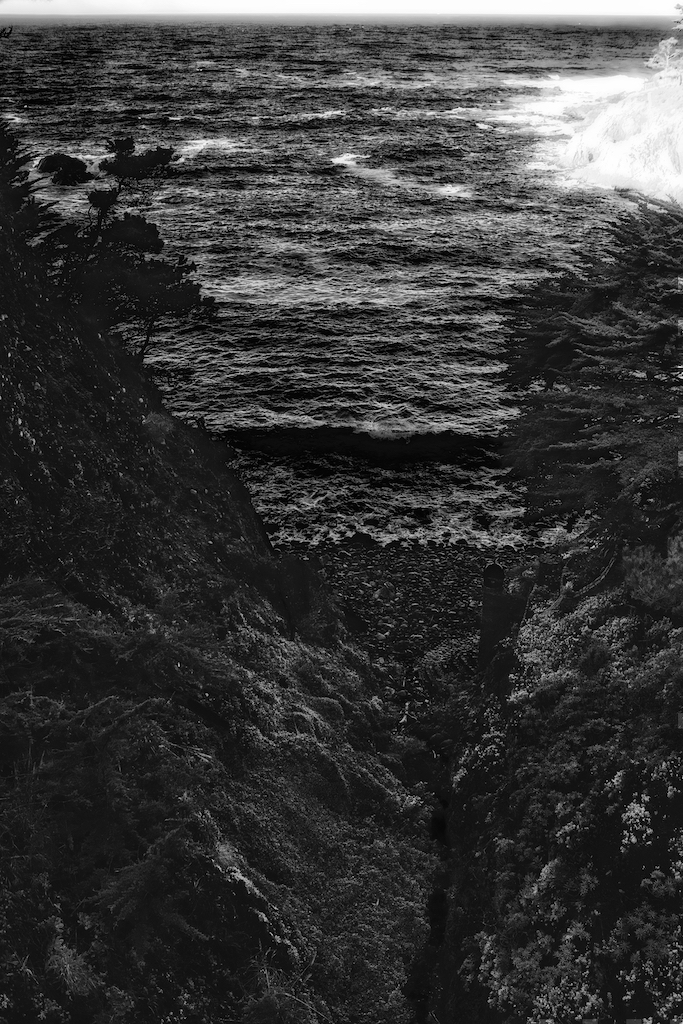 Edward Weston, Wildcat Hill