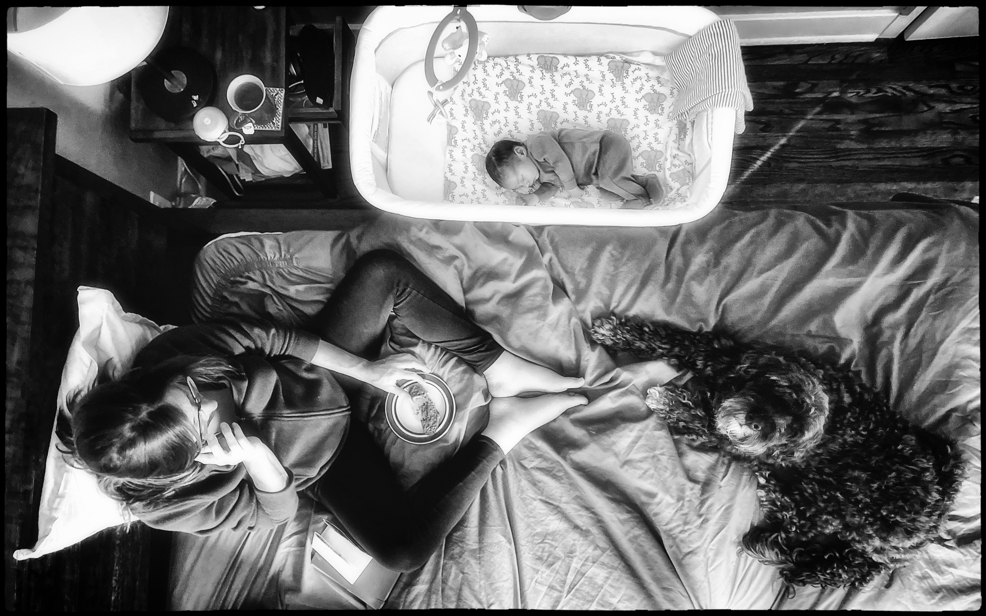 Lindsey Dillon, Charlie Lyons, Younglove, Portugese WaterDog