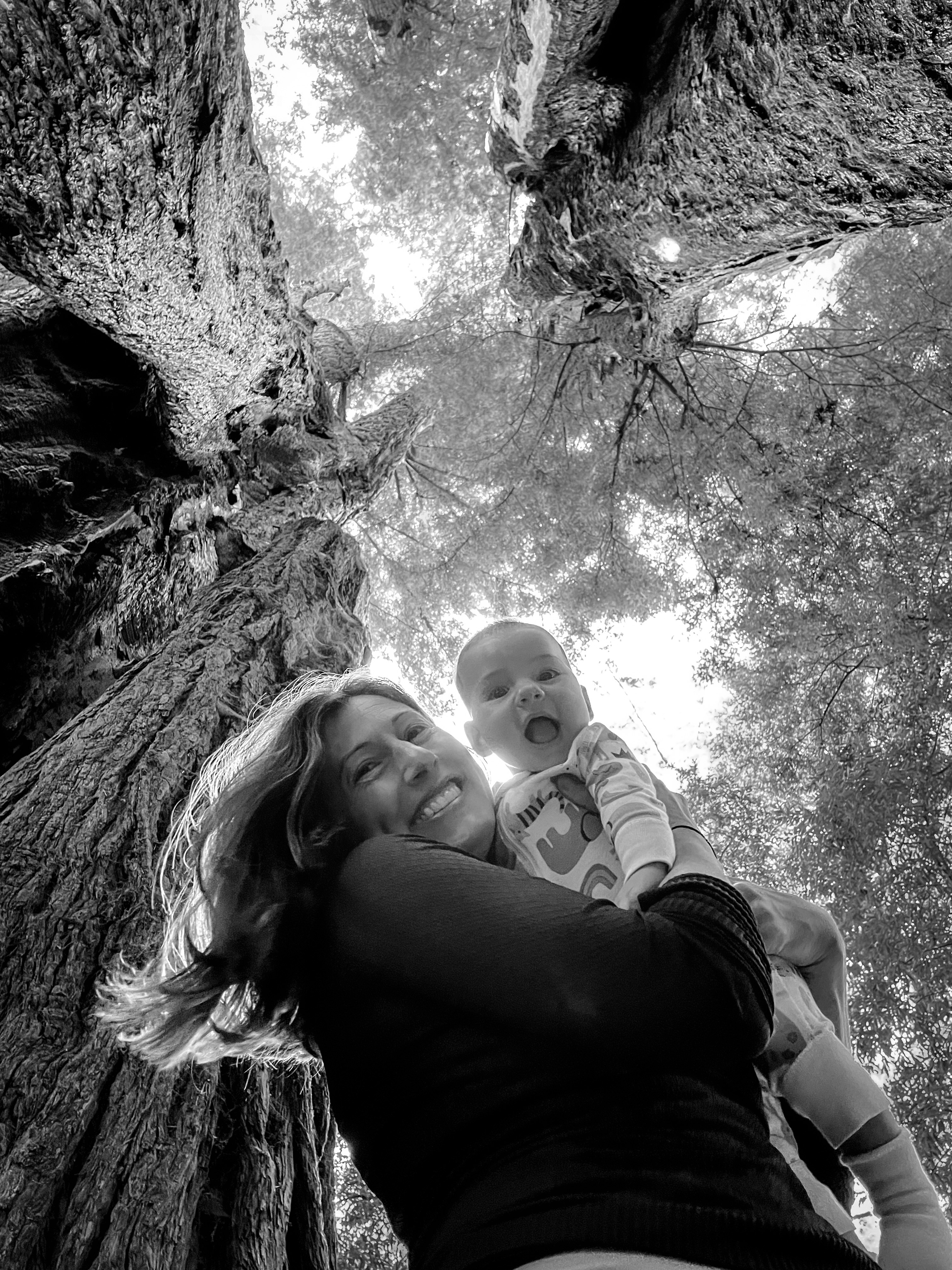 Henry Cowell Redwoods State Park, Lindsey Dillon, Charlie Lyons