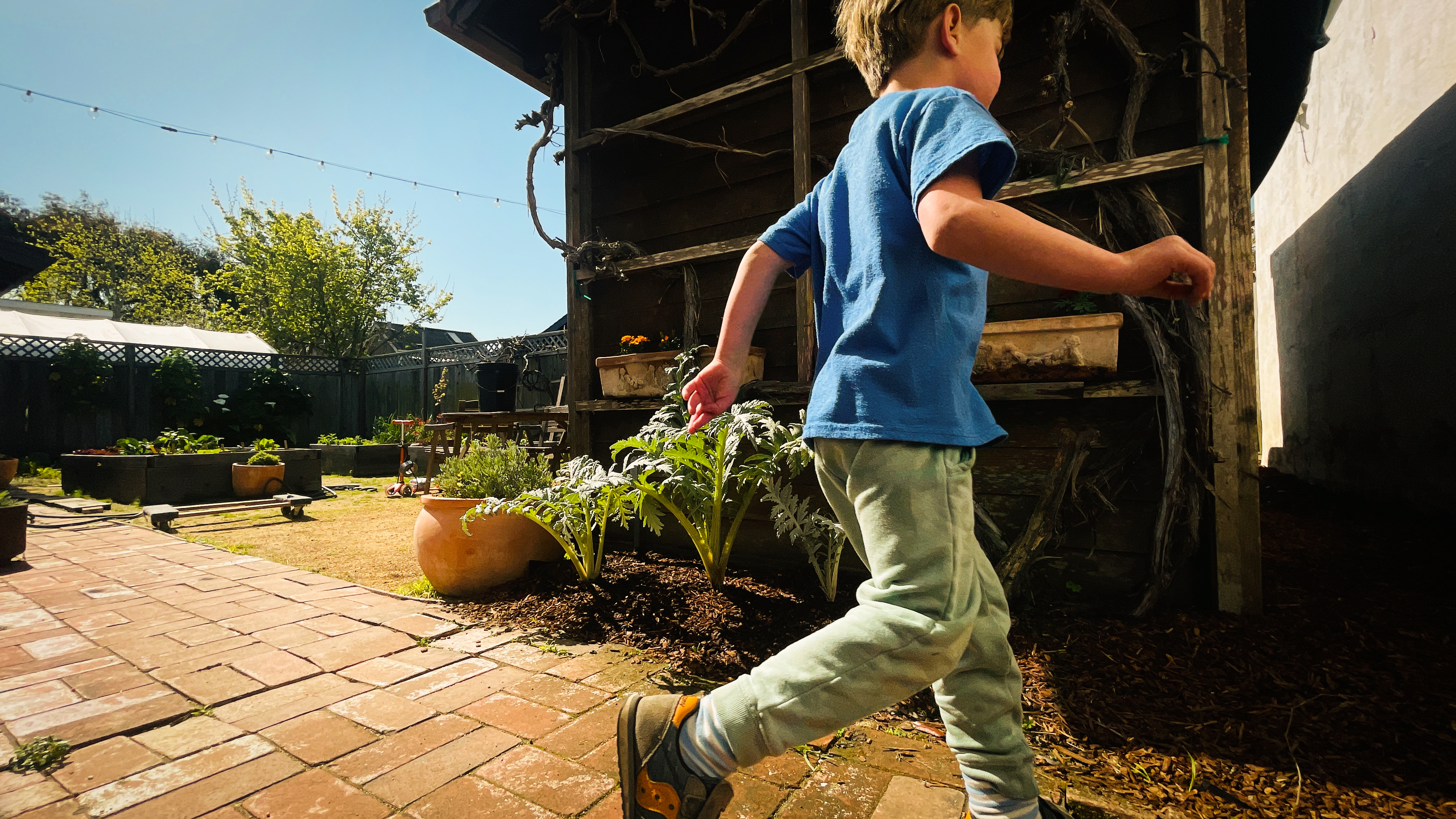 Charlie Lyons, Santa Cruz Garden, Finca Fiasco