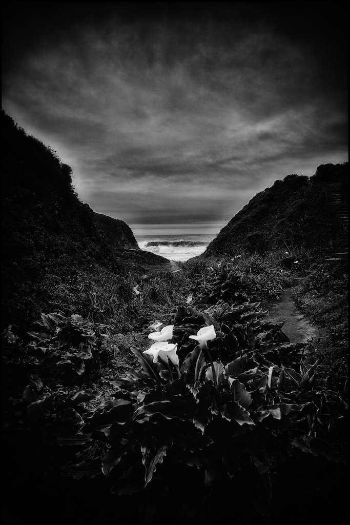 Where the Land Splits Open